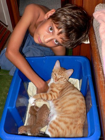121- Bastien fait ses adieux a Manuia jeune maman 